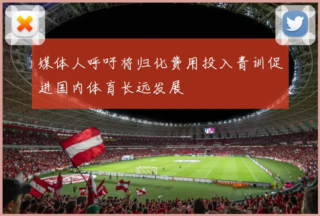 媒体人呼吁将归化费用投入青训促进国内体育长远发展