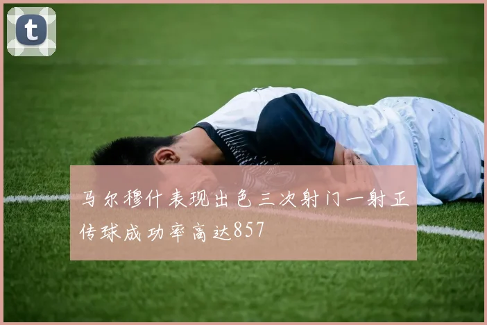 马尔穆什表现出色三次射门一射正传球成功率高达857